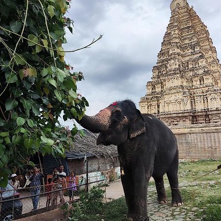 Temple View Guest House هامبي المظهر الخارجي الصورة