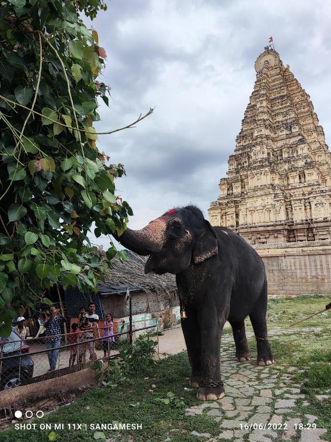 Temple View Guest House هامبي المظهر الخارجي الصورة