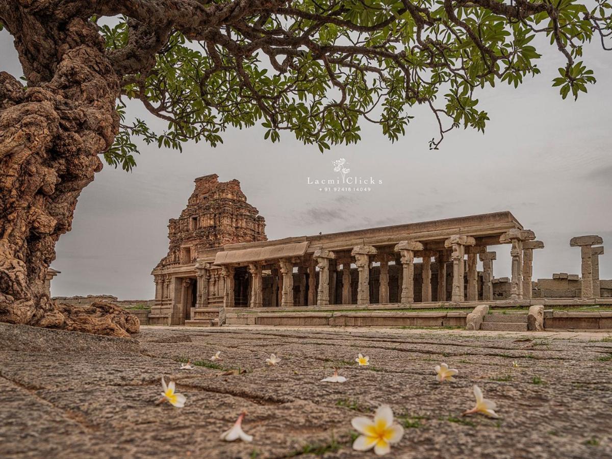 Temple View Guest House هامبي المظهر الخارجي الصورة